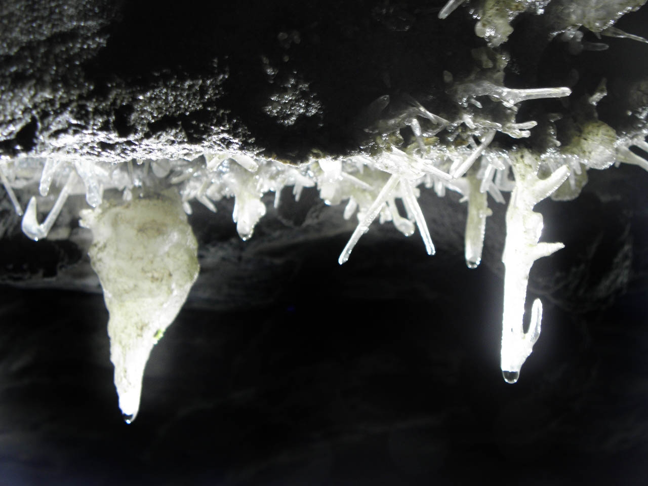 卷曲石2.JPG